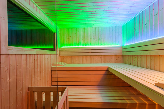 Alpina Large Panorama Outdoor Sauna